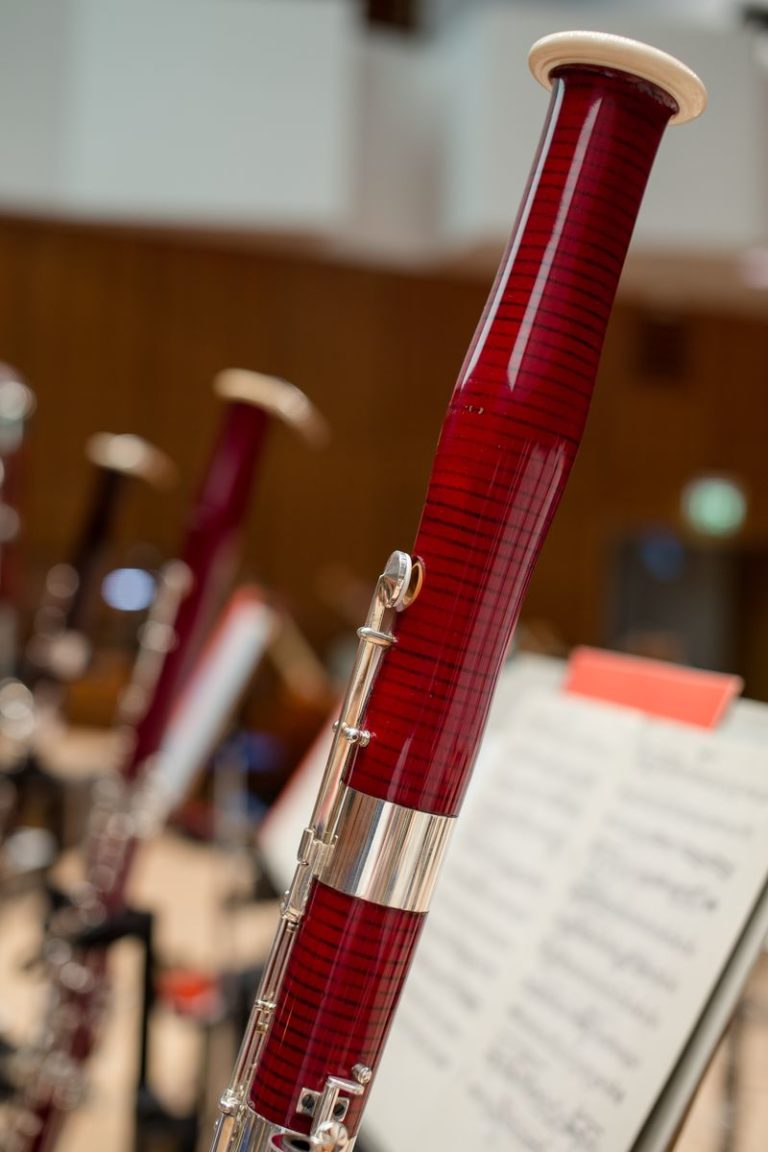About Bassoon Reeds