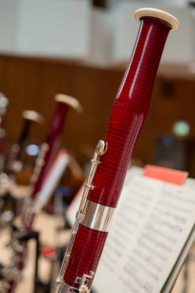 About Bassoon Reeds