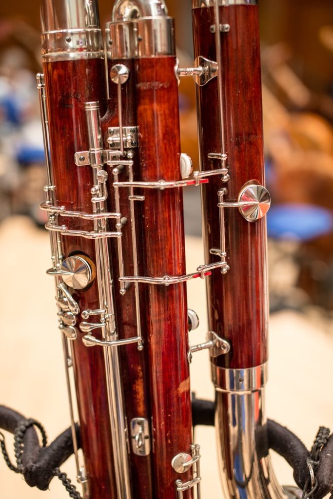 Bassoon Reeds - Online Store for musicians