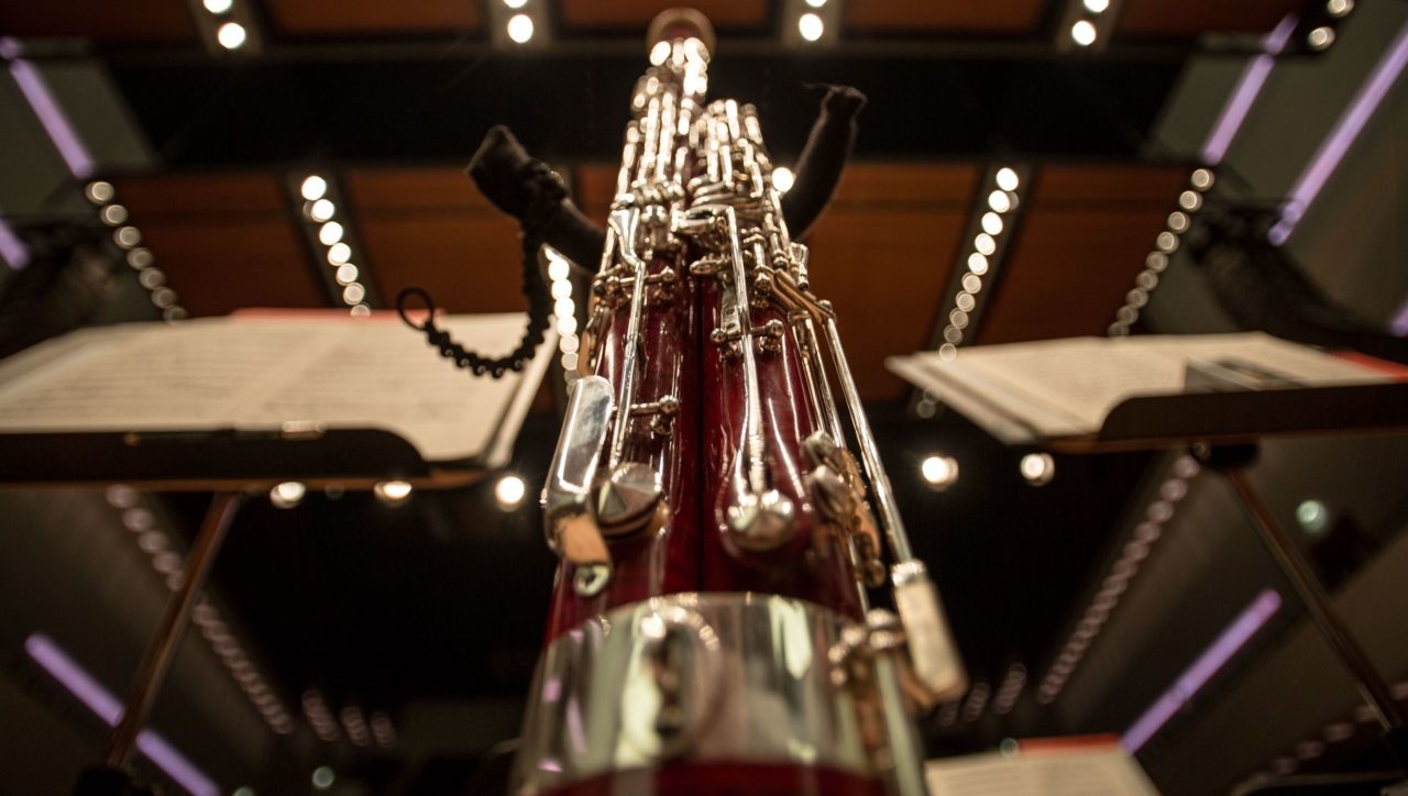 Bassoon Reeds Online Store for musicians