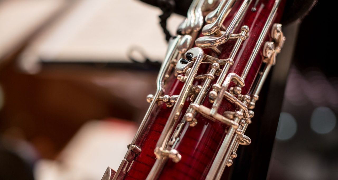 Bassoon Reeds Online Store for musicians
