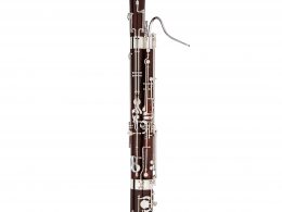 Bassoon AG Model X